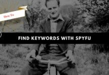 How to use spyfu